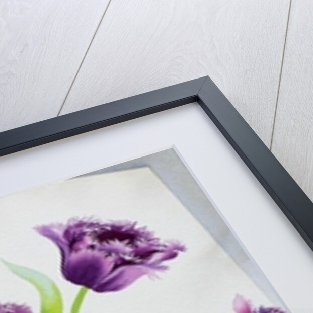 Purple Fringe Tulips, 2015 by Christopher Ryland