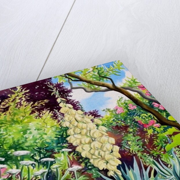 Garden with Flowering Yucca, 2014 by Christopher Ryland