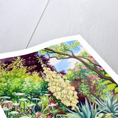 Garden with Flowering Yucca, 2014 by Christopher Ryland