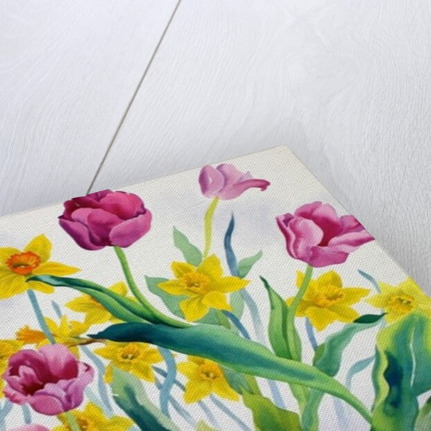 Daffodils and Tulips by Christopher Ryland