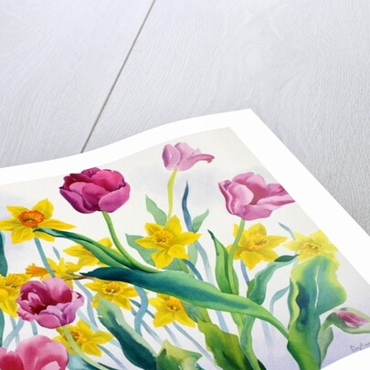 Daffodils and Tulips by Christopher Ryland