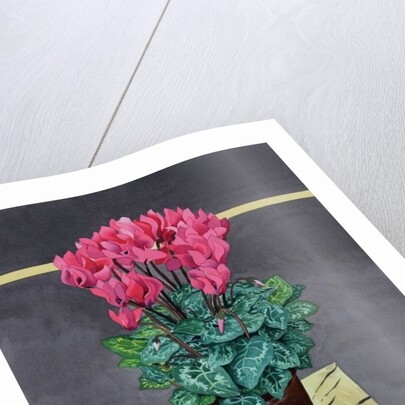 Still Life Cyclamen, 2014 by Christopher Ryland