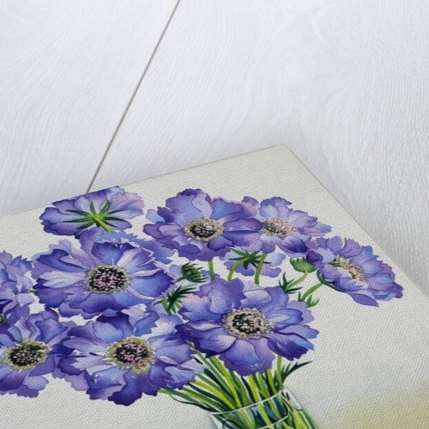 Scabious with Yellow Band, 2015 by Christopher Ryland