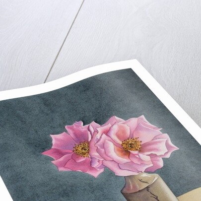 Two Late Roses, 2014 by Christopher Ryland