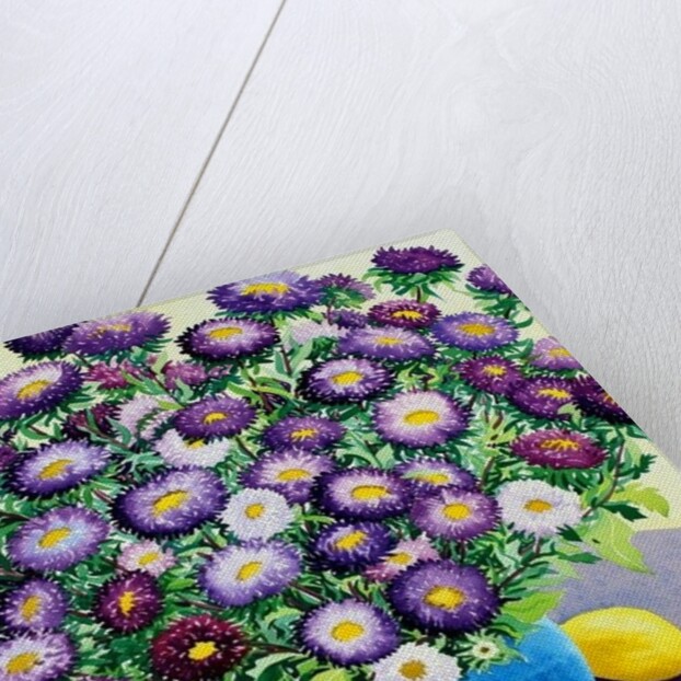Purple Asters and Lemons by Christopher Ryland