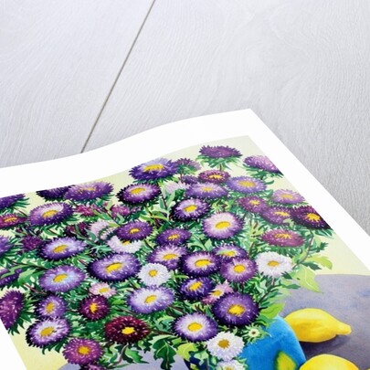 Purple Asters and Lemons by Christopher Ryland