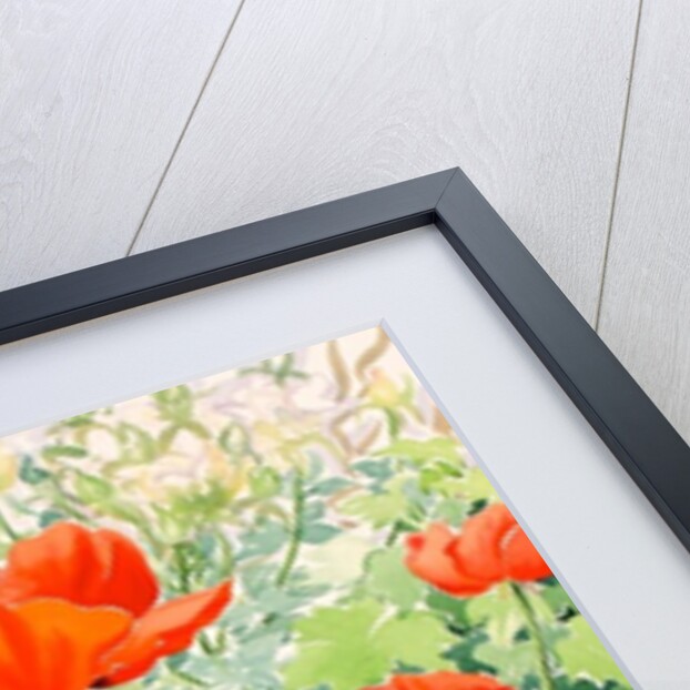 Garden Red Poppies, 2016 by Christopher Ryland