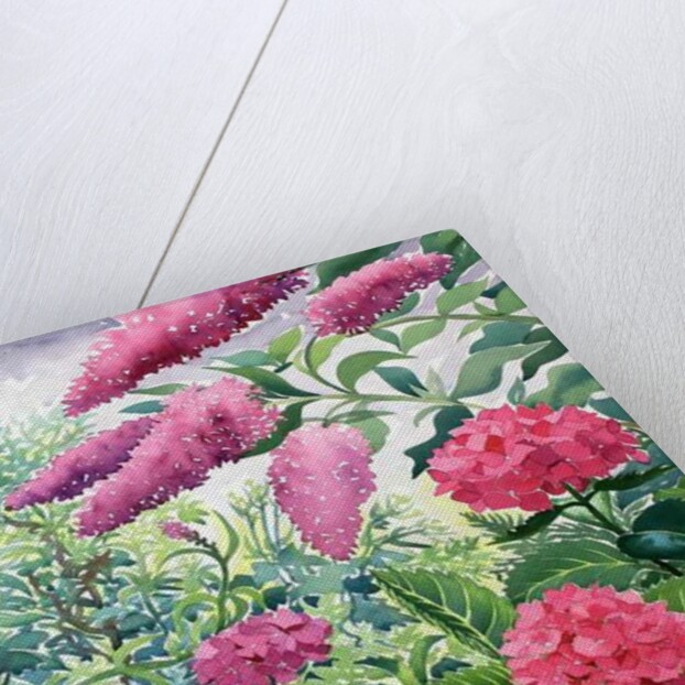 Garden Hydrangeas and Buddleia, 2016 by Christopher Ryland