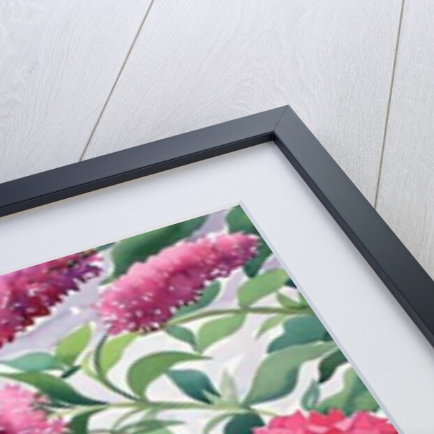 Garden Hydrangeas and Buddleia, 2016 by Christopher Ryland