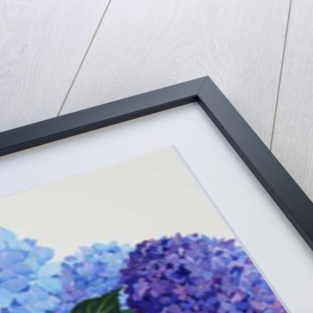 Blue Hydrangeas, 2016 by Christopher Ryland