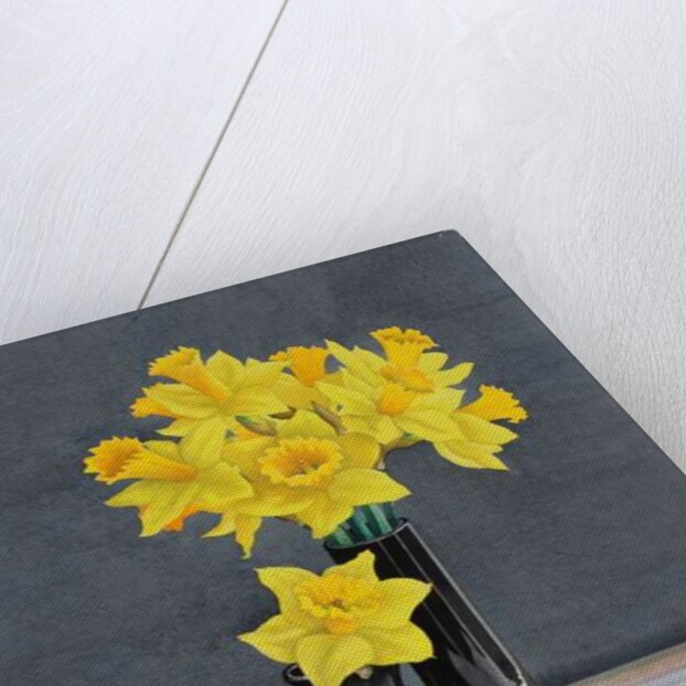 Still Life Daffodils, 2015 by Christopher Ryland