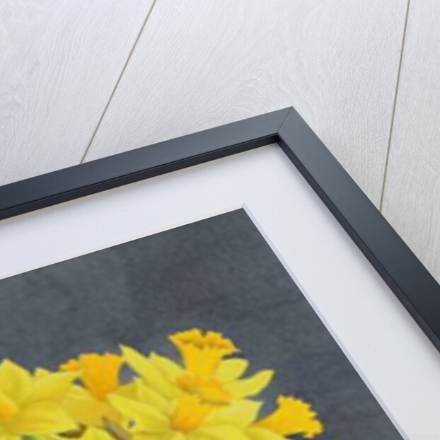 Still Life Daffodils, 2015 by Christopher Ryland