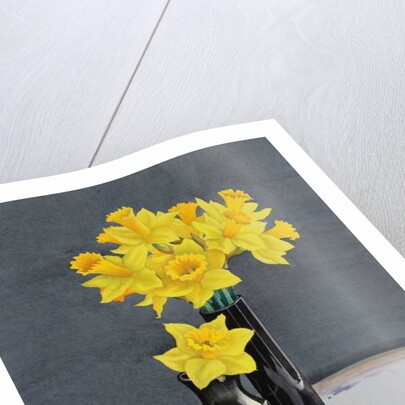 Still Life Daffodils, 2015 by Christopher Ryland