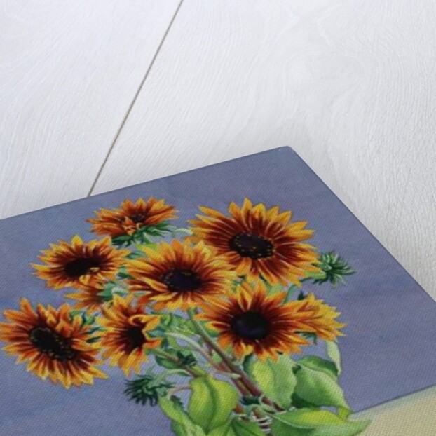 Sunflowers, 2016 by Christopher Ryland