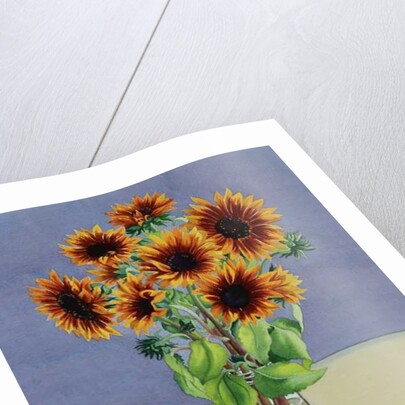 Sunflowers, 2016 by Christopher Ryland