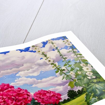 Flowers at the edge of a meadow, 2008 by Christopher Ryland