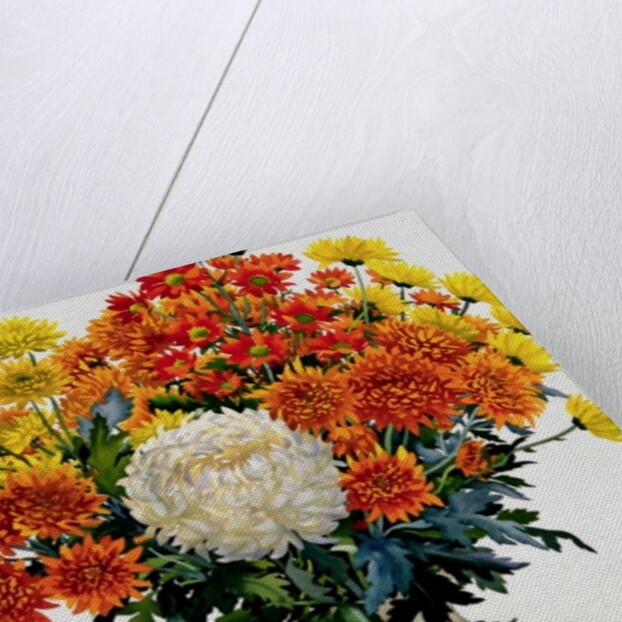 Chrysanthemums in a patterned jug, 2005 by Christopher Ryland