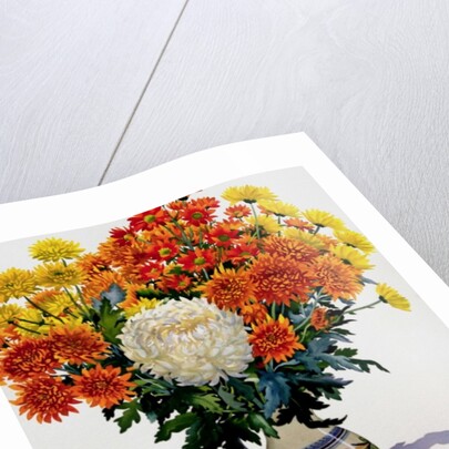 Chrysanthemums in a patterned jug, 2005 by Christopher Ryland