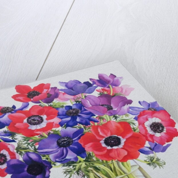 Anemones in a glass jug, 2007 by Christopher Ryland