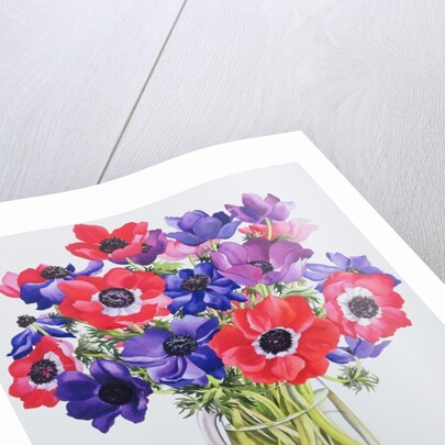 Anemones in a glass jug, 2007 by Christopher Ryland