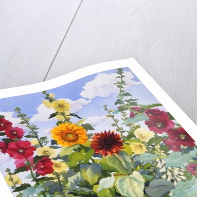 Hollyhocks and Sunflowers, 2003 by Christopher Ryland