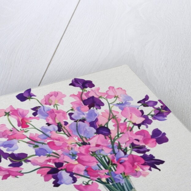 Sweetpeas, 2007 by Christopher Ryland