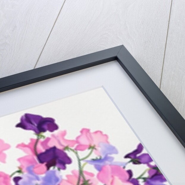 Sweetpeas, 2007 by Christopher Ryland