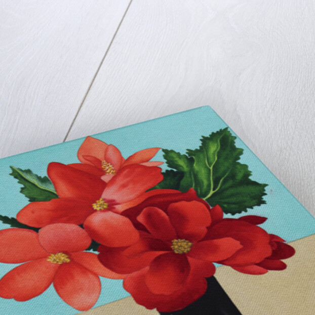 Red Begonias by Christopher Ryland