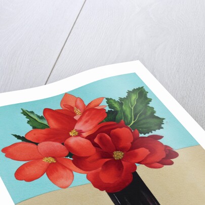 Red Begonias by Christopher Ryland