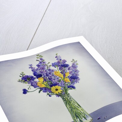 Flowers by Christopher Ryland