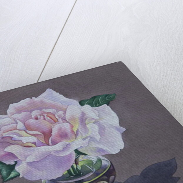 Rose Portrait, 2017 by Christopher Ryland