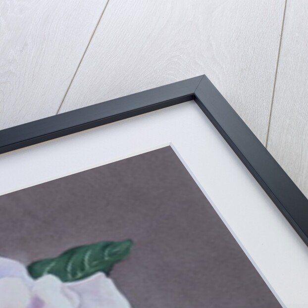 Rose Portrait, 2017 by Christopher Ryland