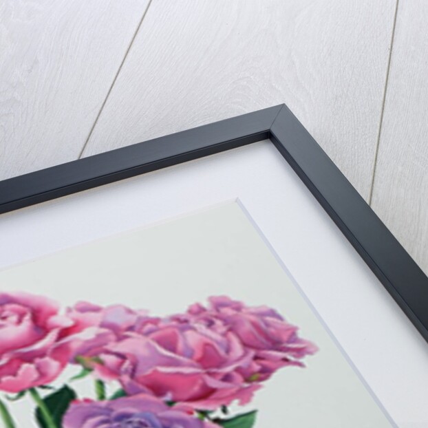 Avalanche Roses, 2017 by Christopher Ryland