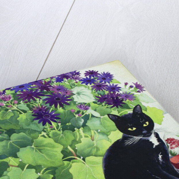Senetti Plant and Cat, 2018 by Christopher Ryland