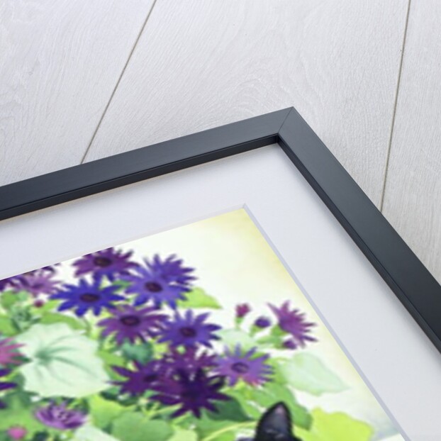 Senetti Plant and Cat, 2018 by Christopher Ryland