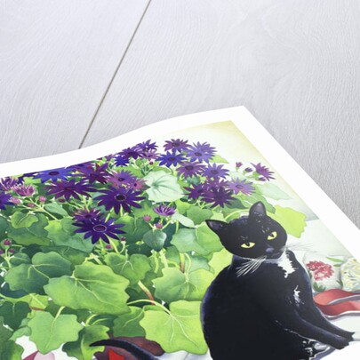 Senetti Plant and Cat, 2018 by Christopher Ryland