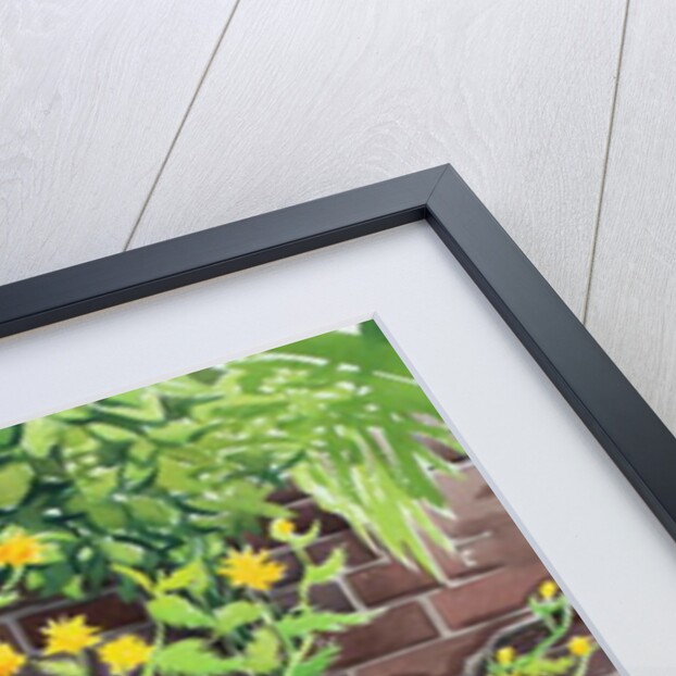 Kerria japonica, 2018 by Christopher Ryland