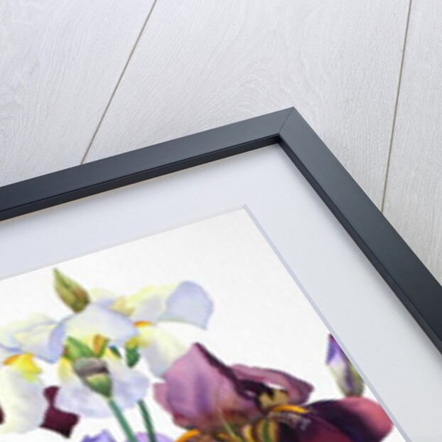 White and Purple Irises, 2018 by Christopher Ryland