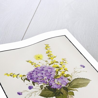 Blue Hydrangea with Yellow Loosestrife by Christopher Ryland