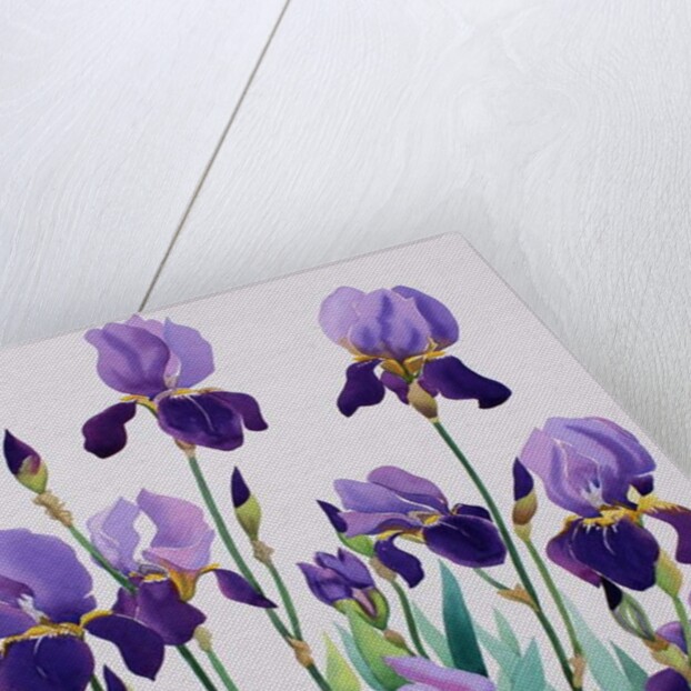 Purple Irises, 2019 by Christopher Ryland