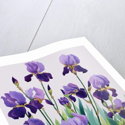 Purple Irises, 2019 by Christopher Ryland