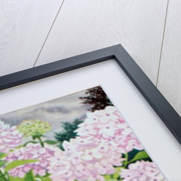 White Hydrangea, 2019 by Christopher Ryland