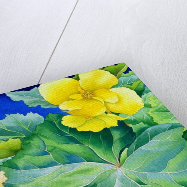 Yellow Begonia, 2019 by Christopher Ryland