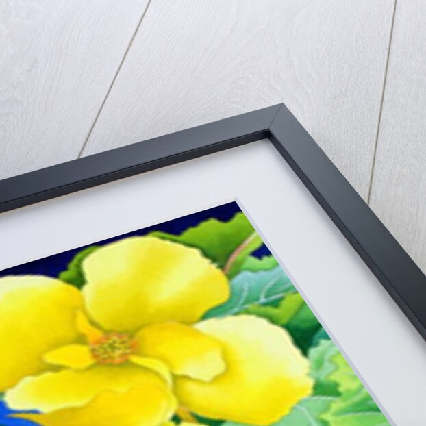 Yellow Begonia, 2019 by Christopher Ryland