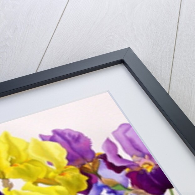 Yellow and Purple Irises by Christopher Ryland
