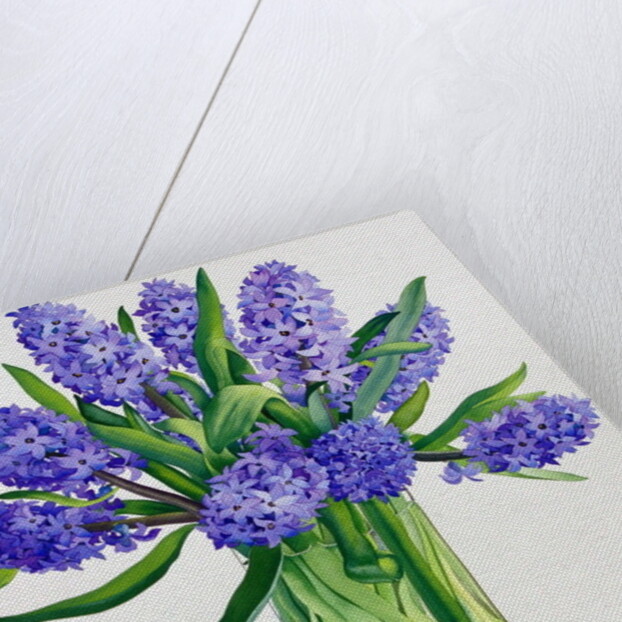 Blue Hyacinths by Christopher Ryland