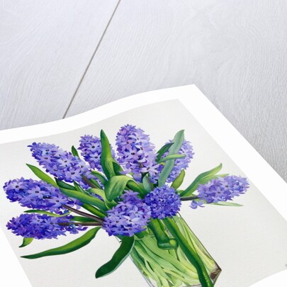 Blue Hyacinths by Christopher Ryland