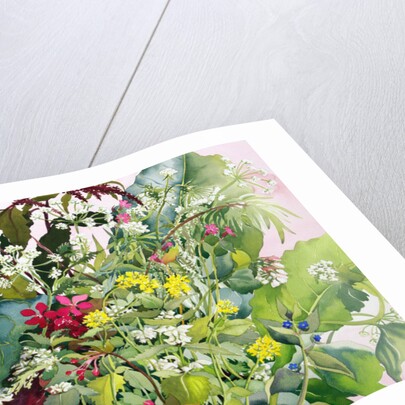Wild Flowers with Comfrey and Campion by Christopher Ryland