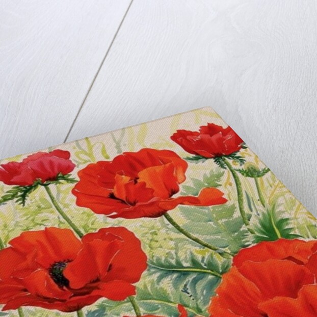 Large Red Poppies by Christopher Ryland