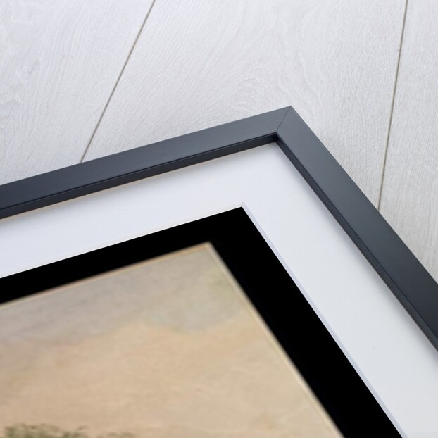 Watering Place by Peter de Wint